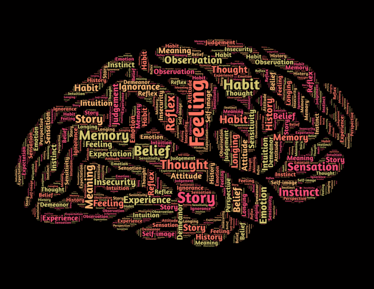 Human Brain Graphic