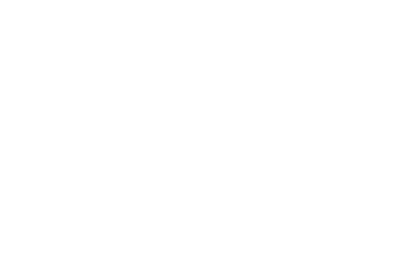 Level Financial Advisors logo